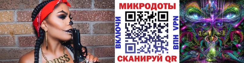 Галлюциногенные грибы прущие грибы  Гвардейск 