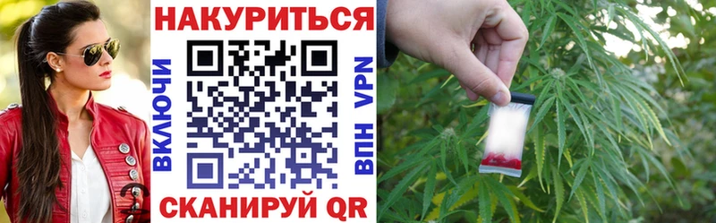 mega зеркало  наркошоп  Гвардейск  Канабис сатива 
